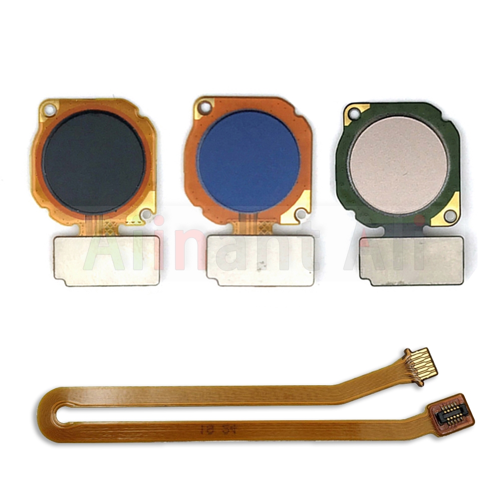 AiinAnt-Capteur d'empreintes d - Fingerprint Cable Flex avis et prix